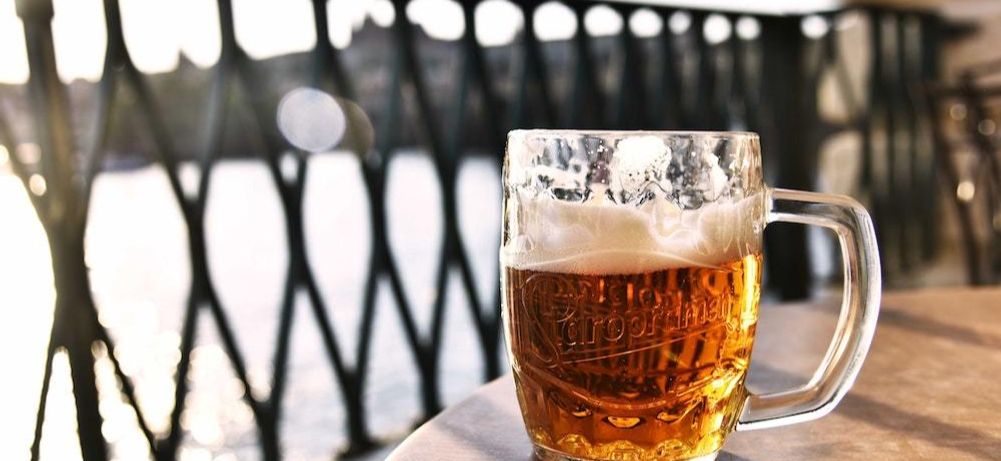 Drink Dinner and Wildlife Tour